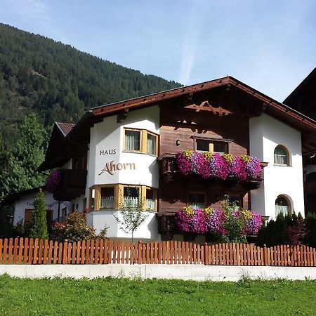 Ferienhaus Ahorn Neustift im Stubaital Eksteriør billede